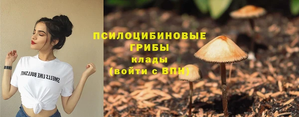 a pvp Белоозёрский