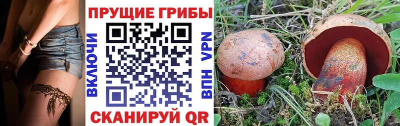 Галлюциногенные грибы Magic Shrooms  где купить наркоту  Черноголовка 